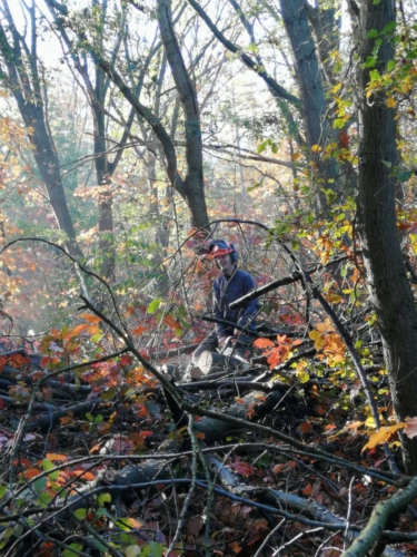 74284862 2705188246187165 4394426600997781504 n