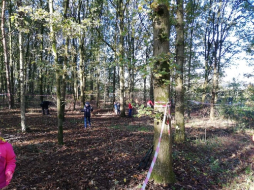 75137219 2705186849520638 4517103743283494912 n