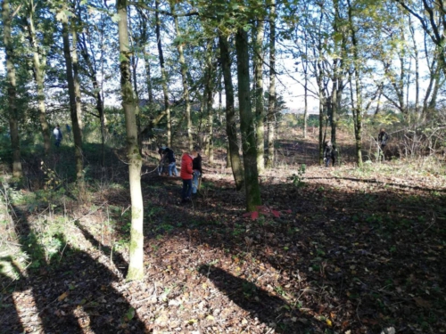 75419073 2705187289520594 7392428509362126848 n