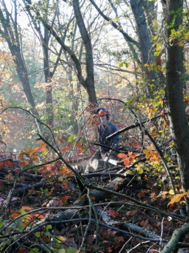 75561646 2705188462853810 2442385280888471552 n