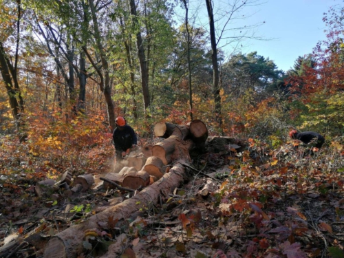 76732969 2705187626187227 3791719771699937280 n