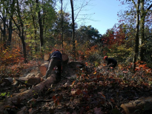 76980981 2705187792853877 2632206269682810880 n