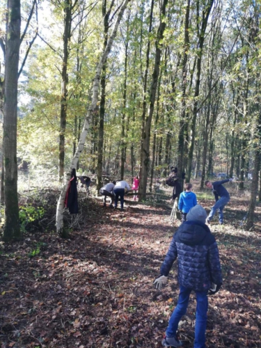 77037053 2705187476187242 2385177716665090048 n