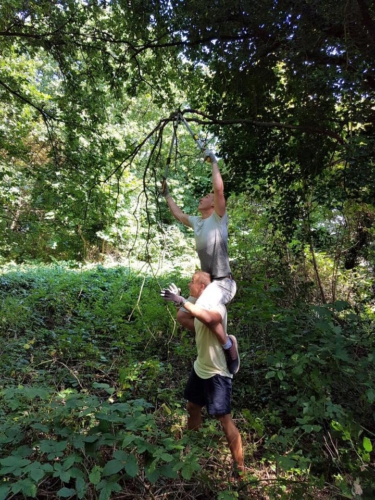 14183925 1189922017713803 4549268094551224272 n