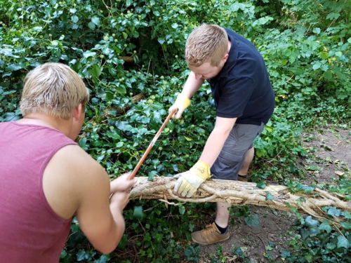 14184456 1189921831047155 506183708870226557 n