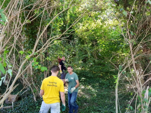 14191898 1189921654380506 8712888757318526523 n