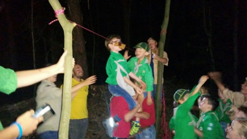 14202492 1197164666989538 4117433986967615421 n