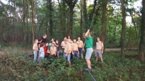 14212226 1197163466989658 515409926756374451 n