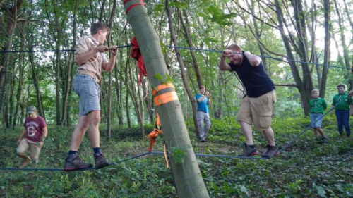 14212694 1198045686901436 3334593893808383359 n