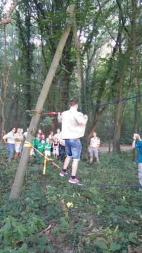 14212721 1198045230234815 2265324042280760262 n