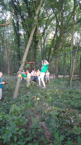 14233200 1198045500234788 828857723766992389 n