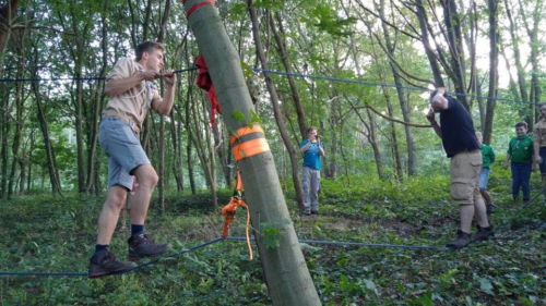 14238259 1198045326901472 6657526351533138121 n