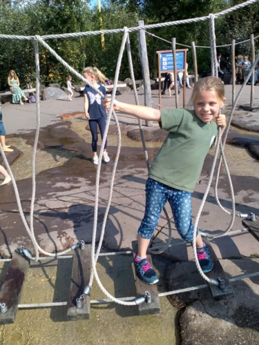 242339350 4547103775328927 3324152601800614407 n