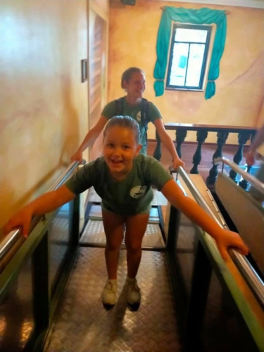 242397011 4547103635328941 1834597351548625471 n