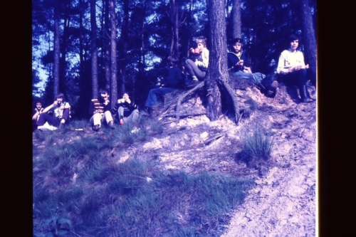 14330085 1198964443476227 2319059064893460239 n