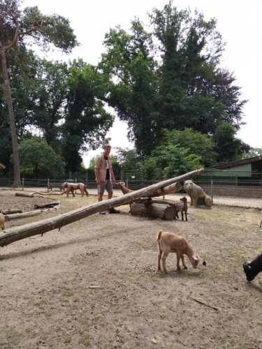 Zomerkamp-2019-Reuver-08