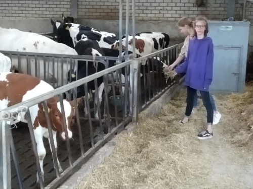 Zomerkamp-2019-Reuver-28