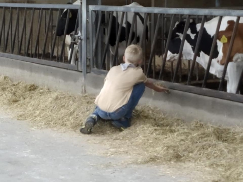 Zomerkamp-2019-Reuver-29