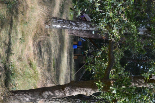 Zomerkamp-2016-Brunssum-95