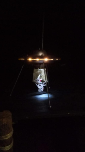 227112460 4387778711261435 8277853620468262864 n