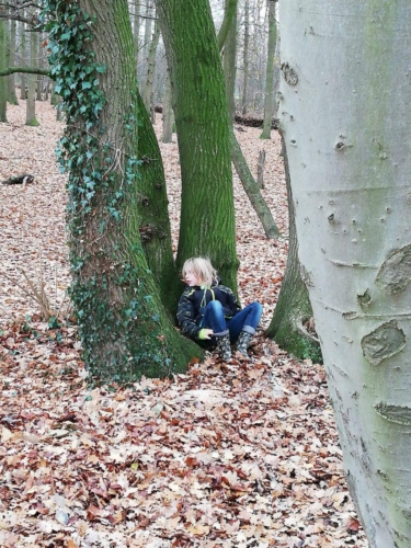 47687658 2111886322184030 7766620774747602944 n