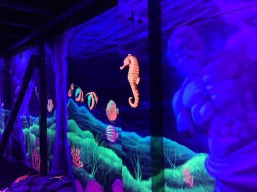 48244230 2111885122184150 6625083304297103360 n