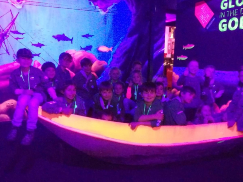 48367167 2111884888850840 2084966177053868032 n