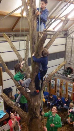 12803239 1061285977244075 940948720769851896 n