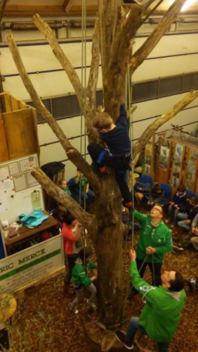 12805732 1061286003910739 6133768544090292588 n