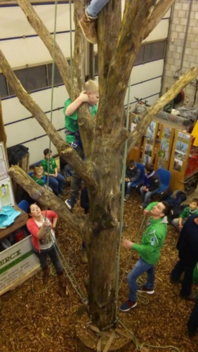 12806068 1061286630577343 8095185251580464374 n