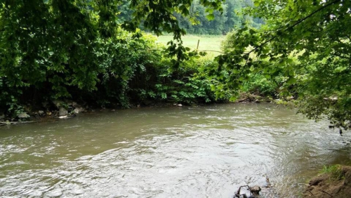 13606435 1160628327309839 3576868085170669106 n