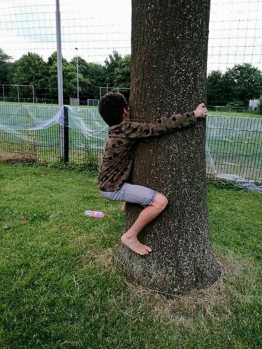 13626384 1160628230643182 1537300808956770239 n