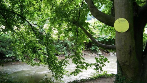 13686629 1160628300643175 414551749400429984 n