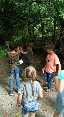 13686695 1160628253976513 517857972673110453 n