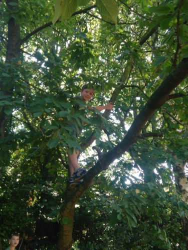 36919682 1900389436667054 170006109929603072 n