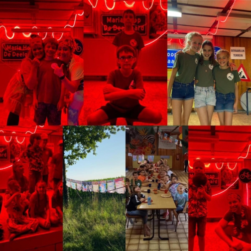 223083914 4375675595805080 6914399908992164416 n