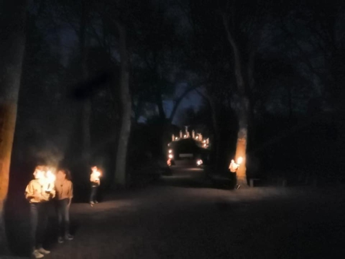 57434124 2306924222680238 8744302597155848192 n