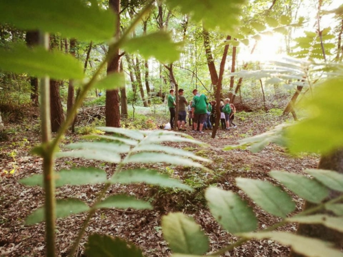 32235362 1828583787180953 3625654556257419264 n