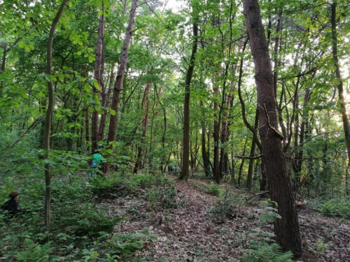 32349605 1828583767180955 5749509506102984704 n