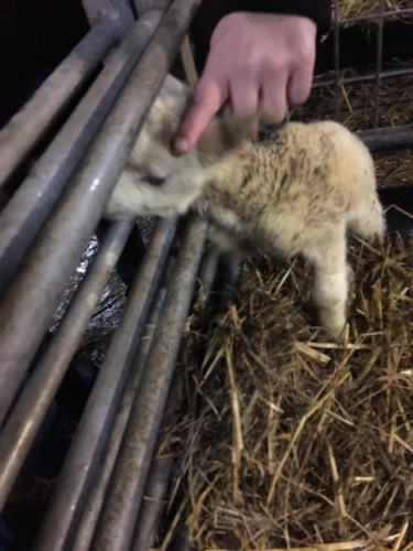 53716301 2253656281340366 7056127377469865984 n