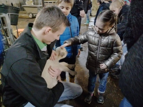 Welpen - kinderboerderij 2019