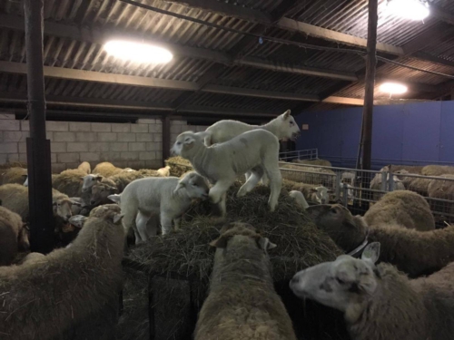 54518591 2253656354673692 504129311150702592 n