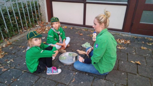 14433136 1214260815279923 2825598914198254448 n